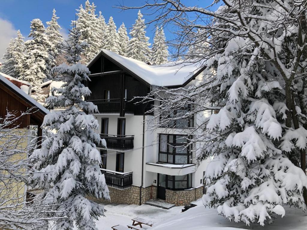 Montana Residence Poiana Brasov Exterior photo